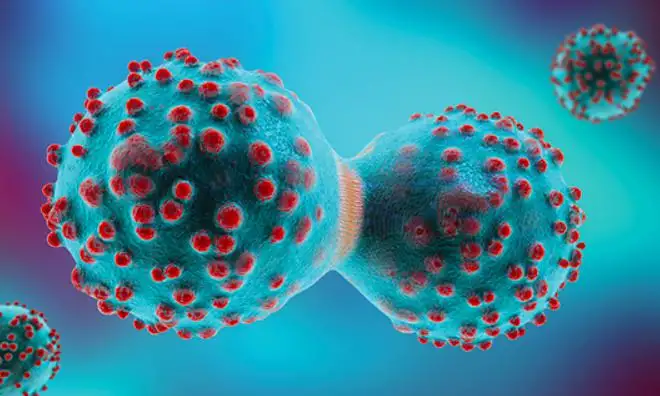 Cancer Cell Cells at Work: Understanding, Prevention, and Treatment