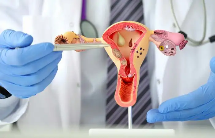 How Is Uterine Cancer Diagnosed? A Complete Guide to Early Detection