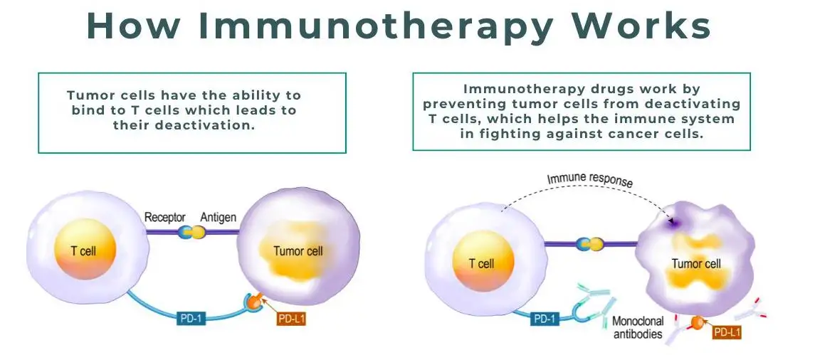 Immunotherapy Drugs for Lung Cancer: Types, Benefits, Survival Rates