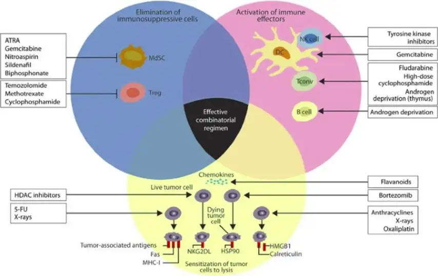 Metastatic Castration-Resistant Prostate Cancer: Causes and Risk Factors