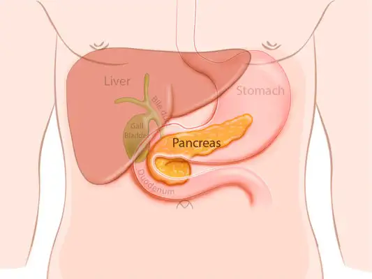 Pancreatic Cancer Spread to Liver How Long to Live?