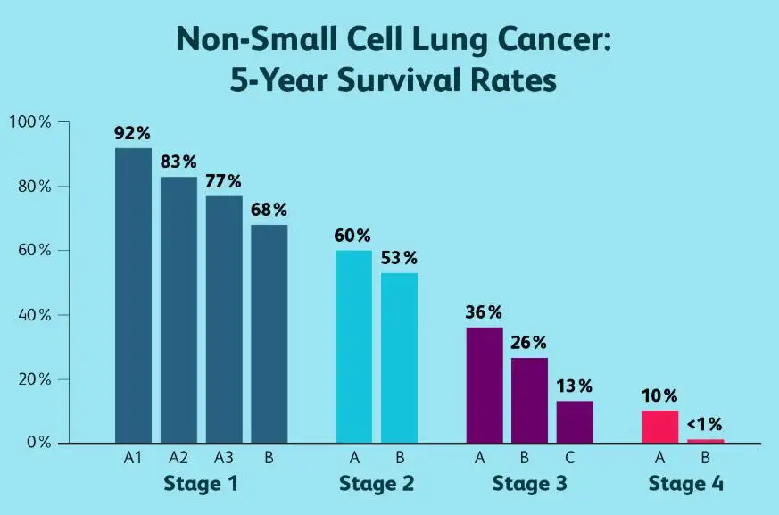 Stage 4 Non Small Cell Lung Cancer Survival Rate 2026