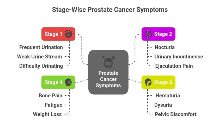 Stage 4 Prostate Cancer Symptoms: What You Need to Know