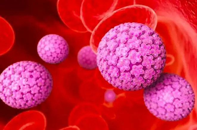 Which Virus Is Not Associated With Cancer? Understanding Viral Links and Risks