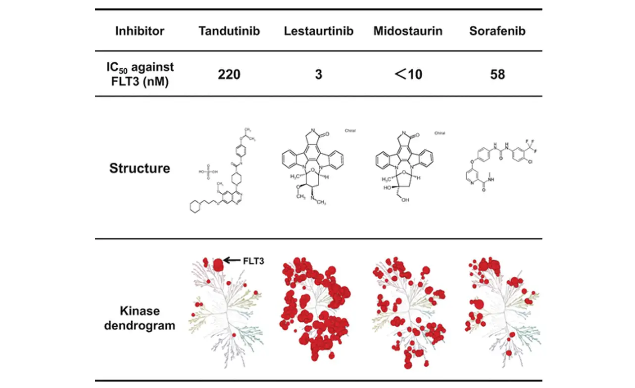 FLT3 Inhibitor