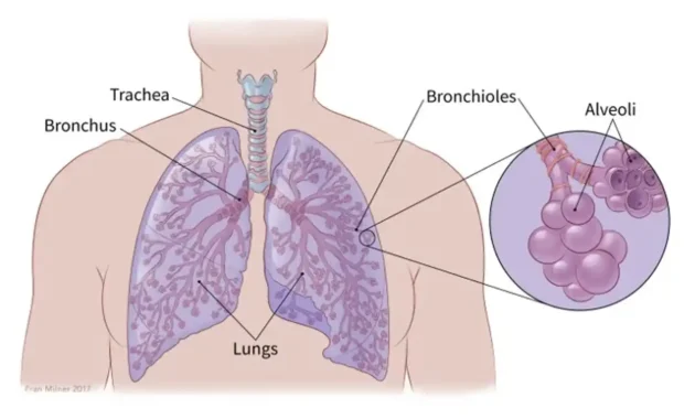 Best Treatment for Small Cell Lung Cancer