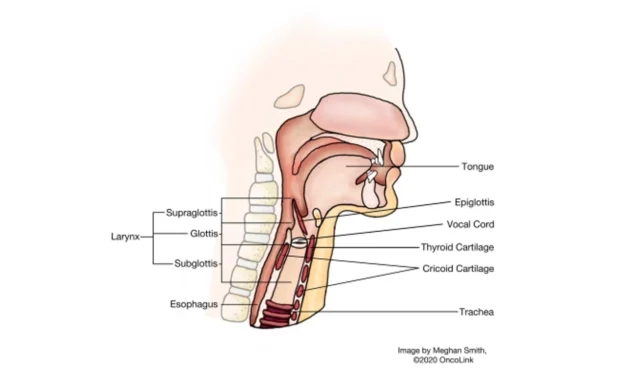 larynx cancer treatment