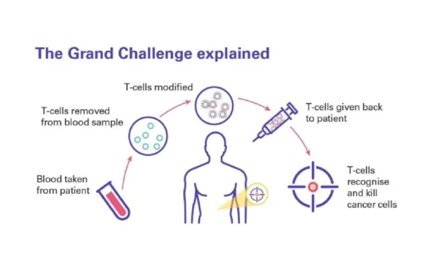 Immunotherapy for Pancreatic Cancer Treatment