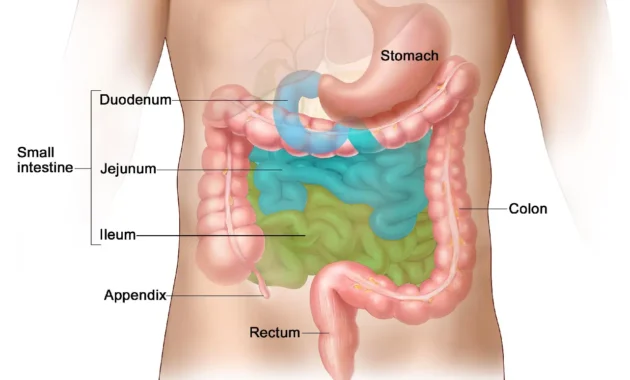 Neuroendocrine Cancer Symptoms