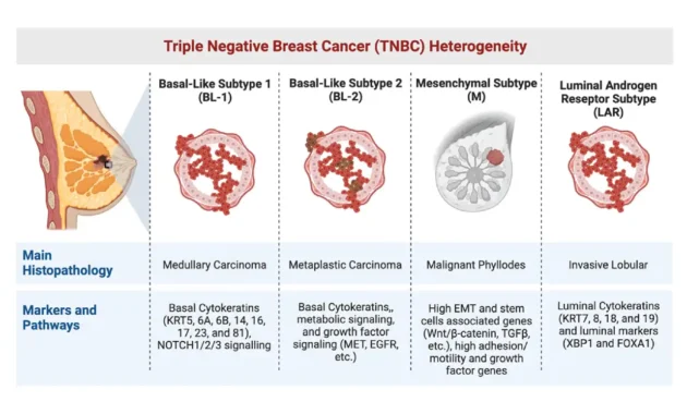 Triple Negative Breast Cancer Metastatic